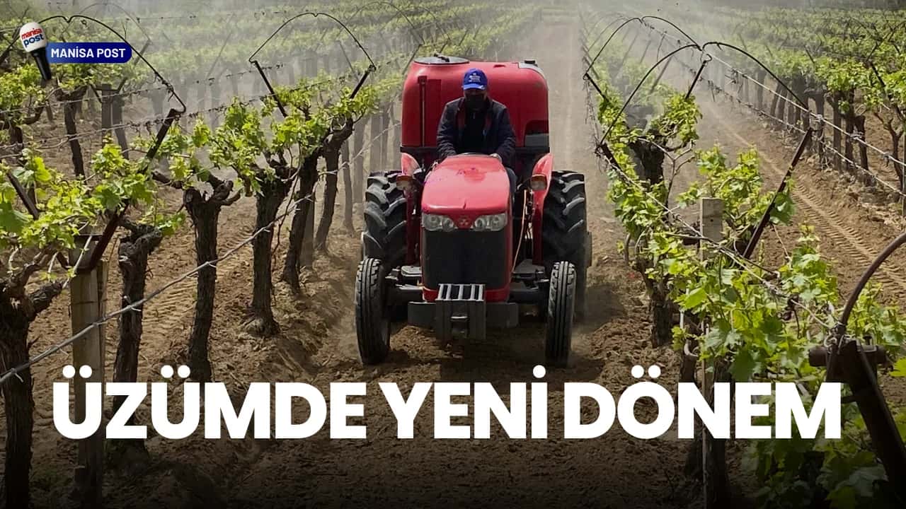 Alaşehir’de Üzümde Yeni Dönem: "3K Bağcılık" ile Kalıntısız Üretim Başladı