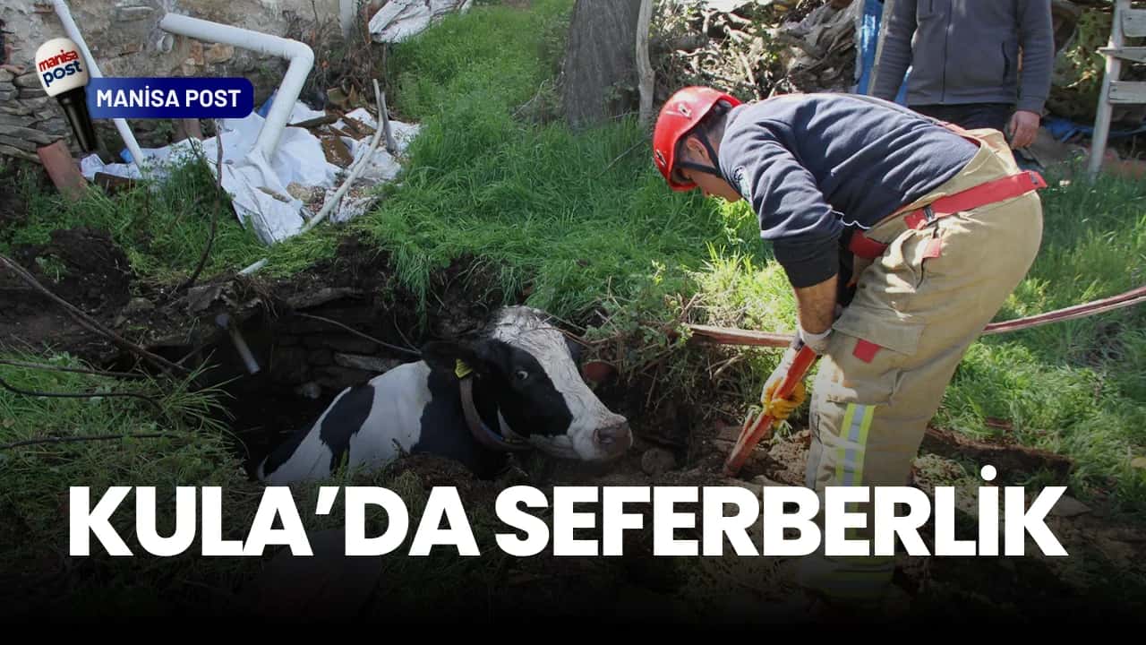 Kula’da Seferberlik: Kuyuya Düşen Gebe İnek İçin İtfaiye Devreye Girdi!