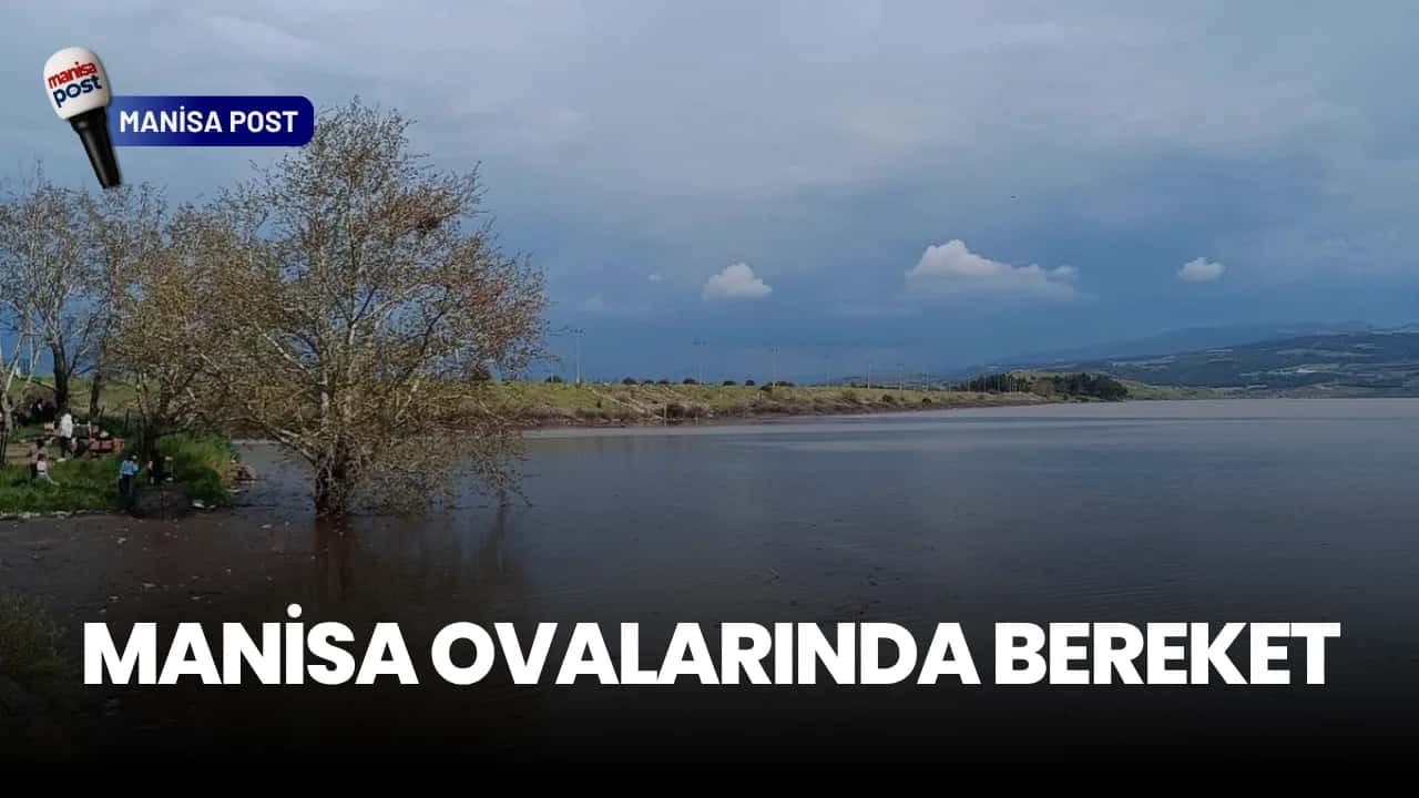 Manisa Ovalarında Bereket: Afşar ve Buldan Barajları Doldu, Kapaklar Açıldı!