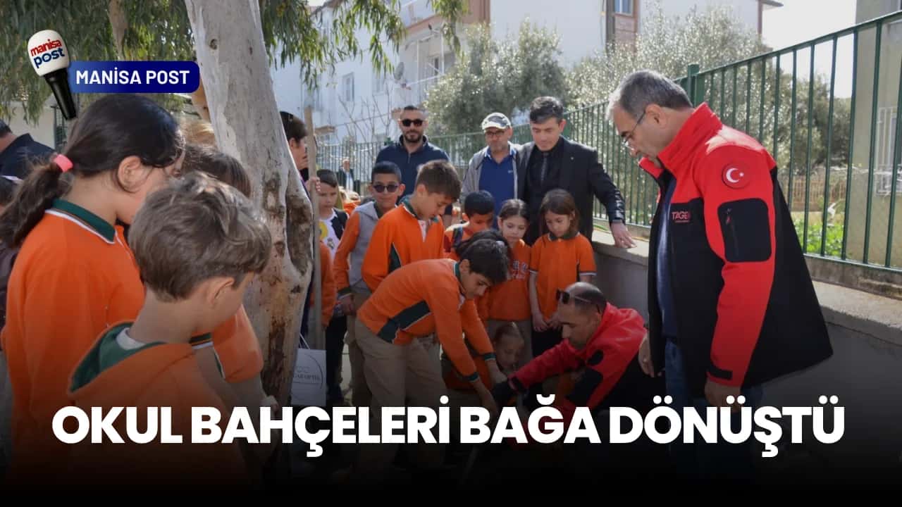 Manisa’da Bir İlk: Okul Bahçeleri Bağlara Dönüşüyor! "Üzümü Seviyorum" Projesiyle İlk Fidanlar Toprakla Buluştu