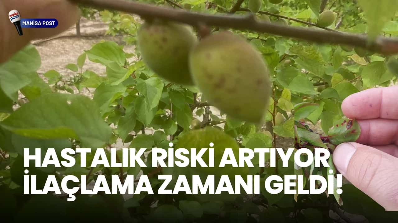 Salihli’de Meyve Üreticilerine Kritik Uyarı: Hastalık Riski Artıyor, İlaçlama Zamanı Geldi!