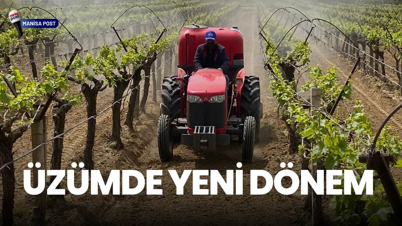 Alaşehir’de Üzümde Yeni Dönem: "3K Bağcılık" ile Kalıntısız Üretim Başladı