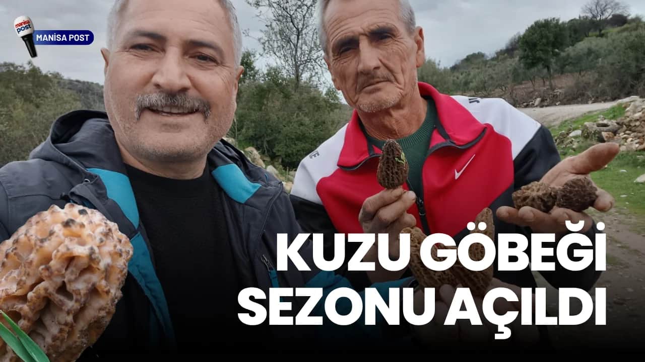 Salihli Dağlarında "Altın" Mesaisi: Kuzu Göbeği Sezonu Açıldı!
