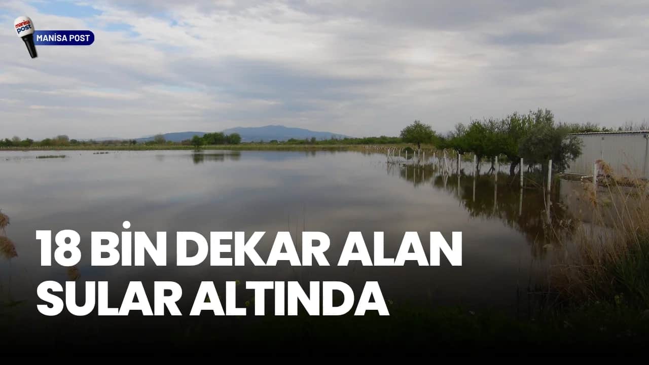TZOB Genel Başkanı Bayraktar'dan Manisa’da Sel İncelemesi: "Çiftçimiz Devletin Şefkat Elini Bekliyor"
