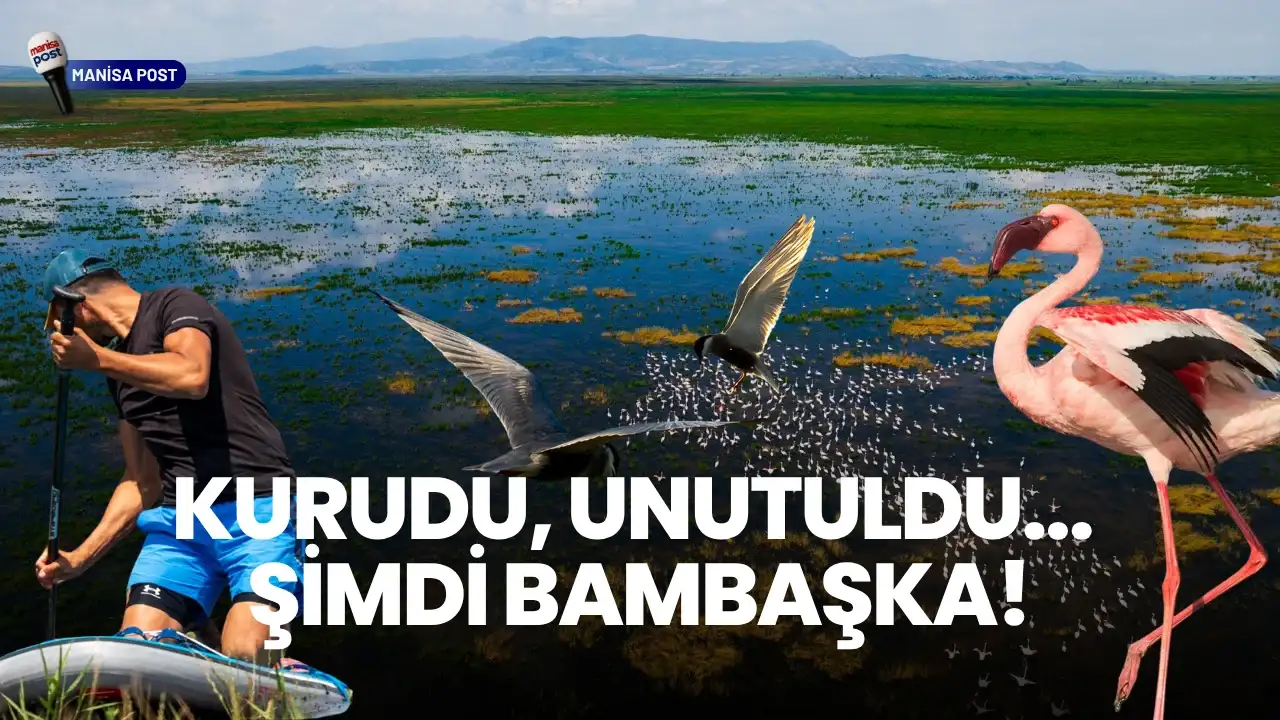 Yeniden Hayat Bulan Marmara Gölü Su Sporcularının ve Flamingoların İlgi Odağı Oldu