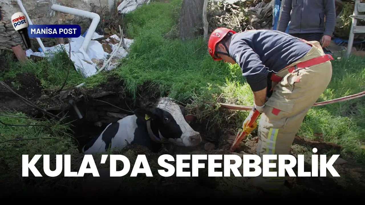 Kula’da Seferberlik: Kuyuya Düşen Gebe İnek İçin İtfaiye Devreye Girdi!