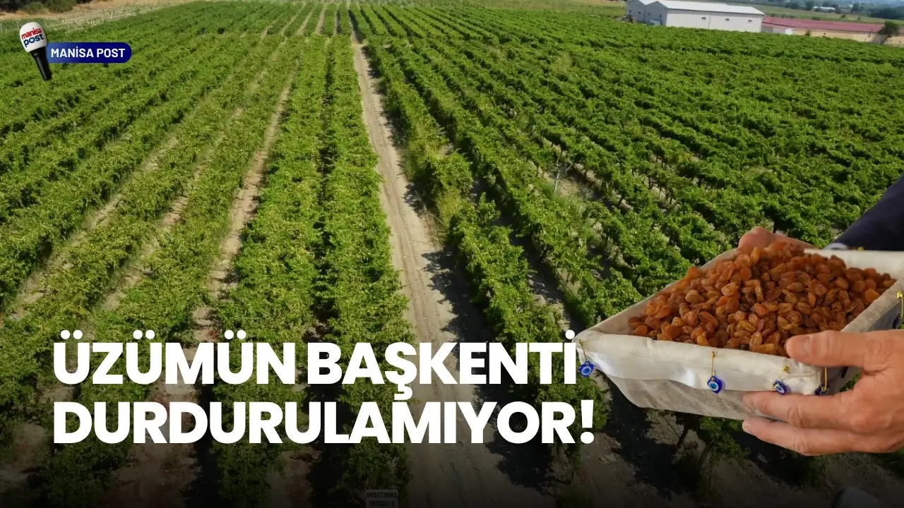 Üzümün Başkenti Durdurulamıyor: Manisa’dan 321 Milyon Dolarlık İhracat!