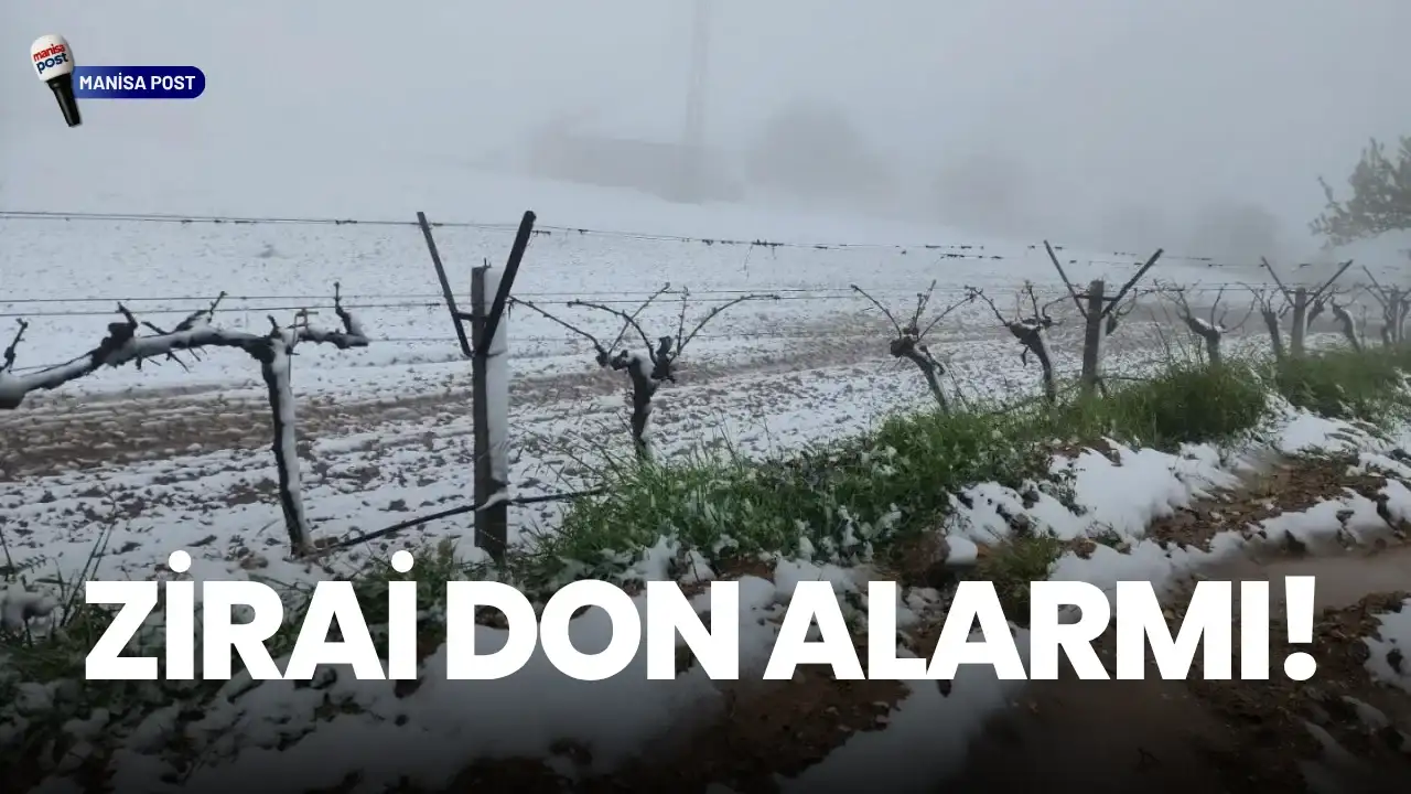 Sarıgöl’de Zirai Don Alarmı: Kar ve Ani Hava Değişimi Tarım Arazilerini Vurdu