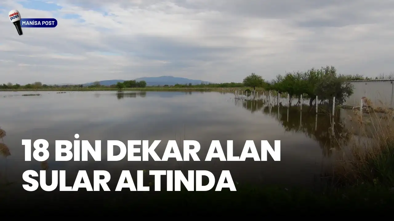TZOB Genel Başkanı Bayraktar'dan Manisa’da Sel İncelemesi: "Çiftçimiz Devletin Şefkat Elini Bekliyor"