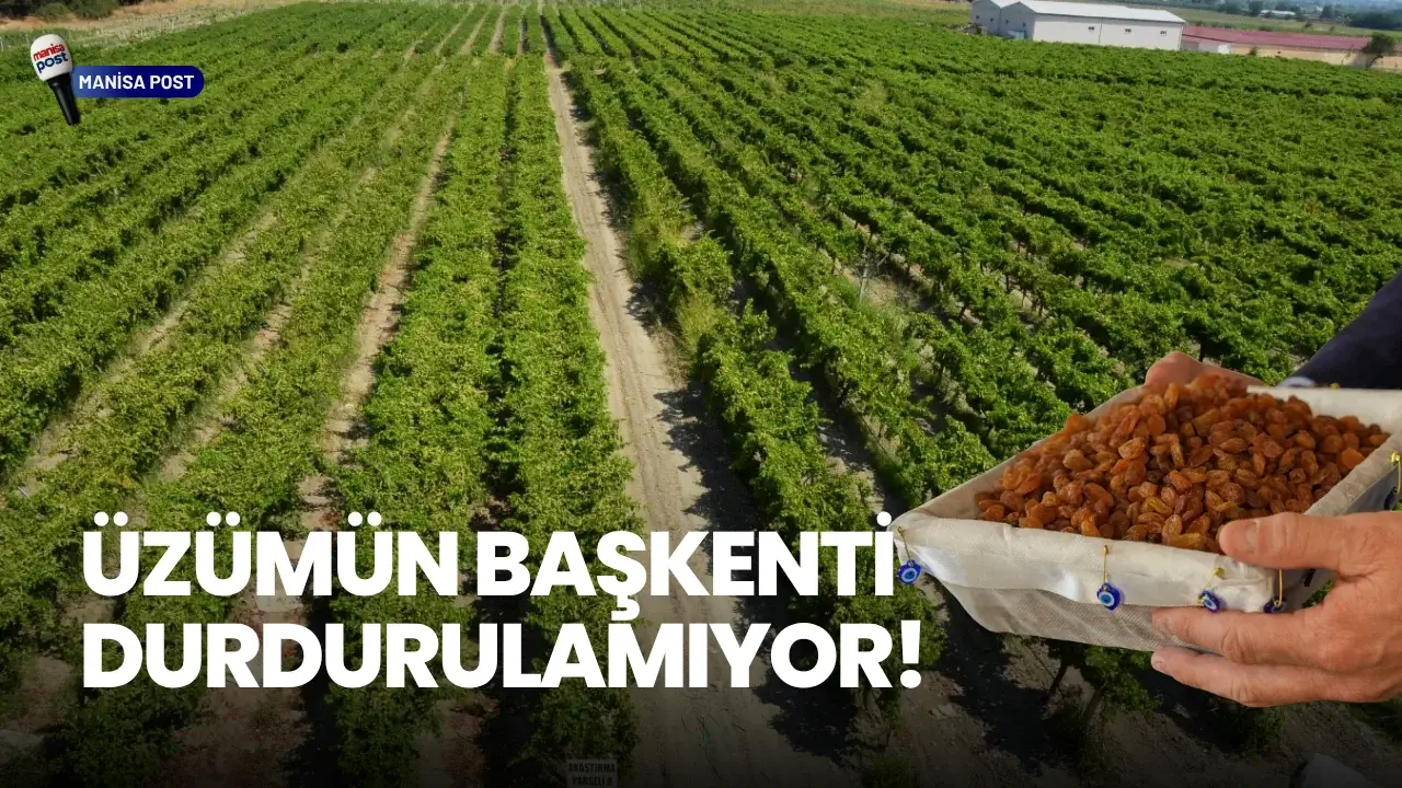 Üzümün Başkenti Durdurulamıyor: Manisa’dan 321 Milyon Dolarlık İhracat!