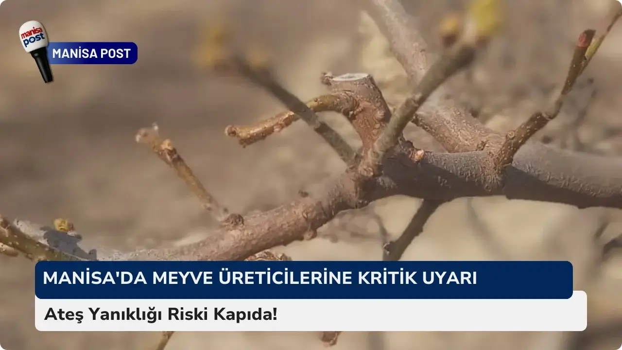 Manisa'da Meyve Üreticilerine Kritik Uyarı: Ateş Yanıklığı Riski Kapıda!