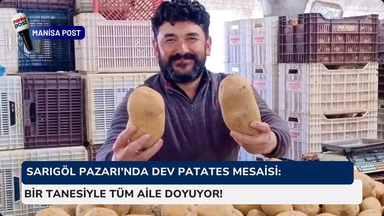 Sarıgöl Pazarı’nda Dev Patates Mesaisi: Bir Tanesiyle Tüm Aile Doyuyor!